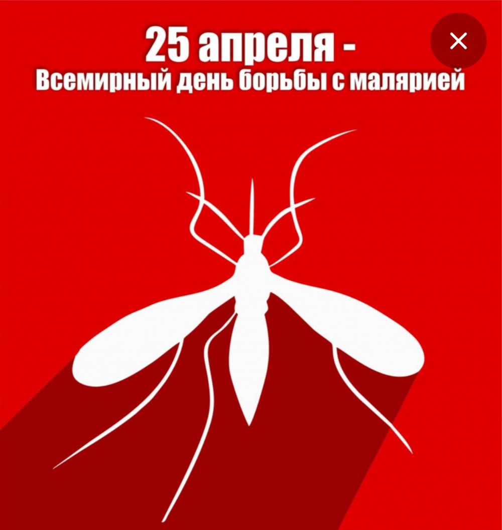 25 апреля отмечается Всемирный день борьбы с малярией
