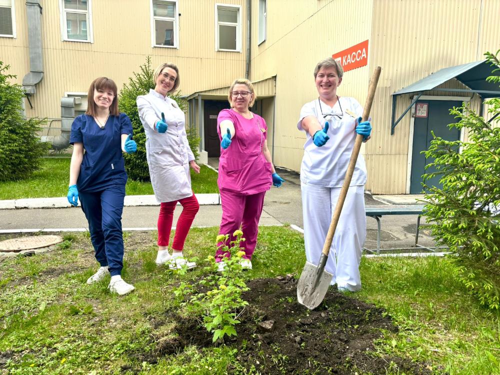 В День фармацевтического работника сотрудники аптеки посадили кустарники-калину и айву